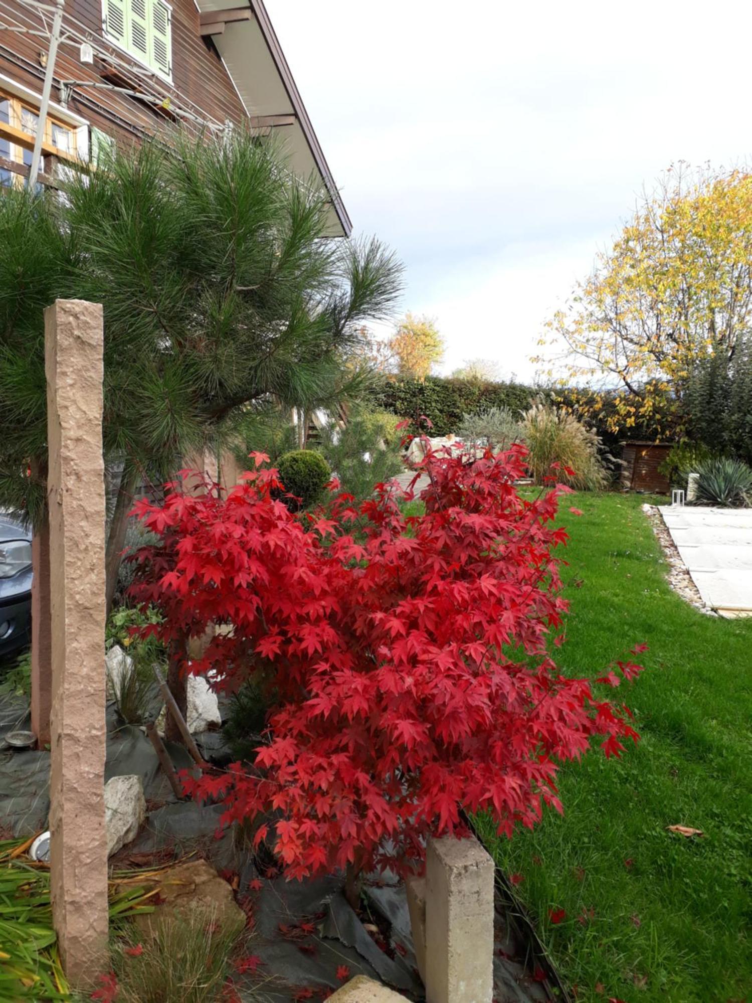 Chalet Norev Saint-Martin-du-Mont ภายนอก รูปภาพ